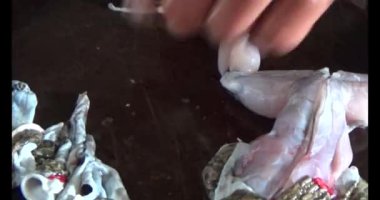 Pişirecek kurbağa eti 