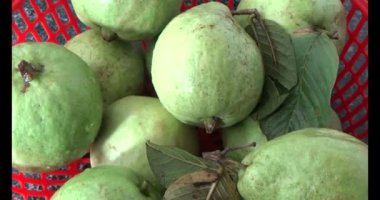 Sepetteki guava.