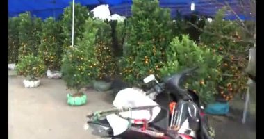 23 Kasım 2024, Haiduong, Vietnam. Vietnam 'da Yeni Yıl