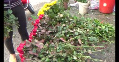 23 Kasım 2024, Haiduong, Vietnam. Vietnam 'da Yeni Yıl