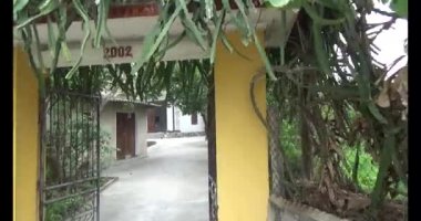 23 Kasım 2024, Haiduong, Vietnam. Vietnam 'da Yeni Yıl