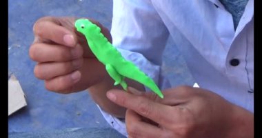 Pirinç unlu küf hayvanları