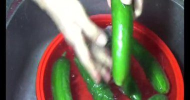 Böcek taşıyan karıncalar.