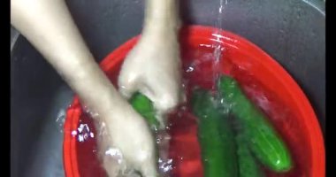 Böcek taşıyan karıncalar.