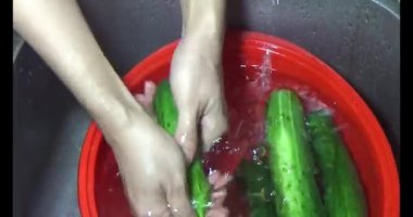 Böcek taşıyan karıncalar.