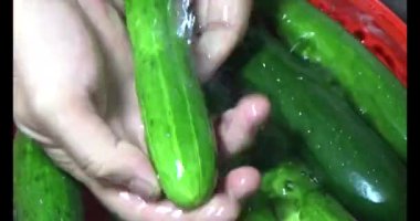 Salatalıkları suda yıka. Tabakta salatalık