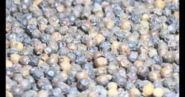 Tabaktaki mısır gevreği