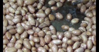 Tuzlu kavrulmuş fıstık.