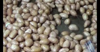 Tuzlu kavrulmuş fıstık.