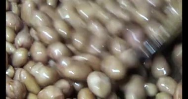 Tuzlu kavrulmuş fıstık.