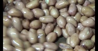 Tuzlu kavrulmuş fıstık.