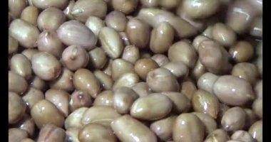 Tuzlu kavrulmuş fıstık.