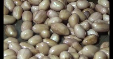 Tuzlu kavrulmuş fıstık.