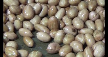 Tuzlu kavrulmuş fıstık.