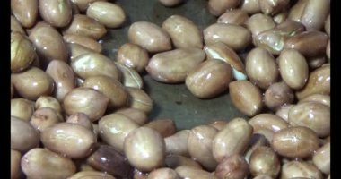 Tuzlu kavrulmuş fıstık.