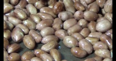 Tuzlu kavrulmuş fıstık.