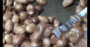 Tuzlu kavrulmuş fıstık.