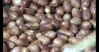 Tuzlu kavrulmuş fıstık.