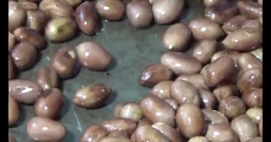 Tuzlu kavrulmuş fıstık.