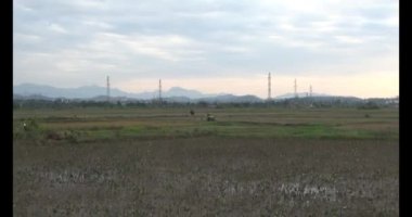 Sahada çalışan kazıcı