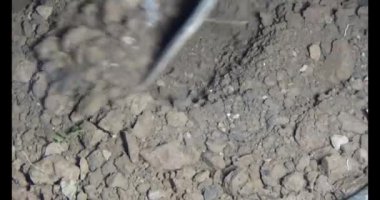 Adam bahçeye ağaç dikiyor.