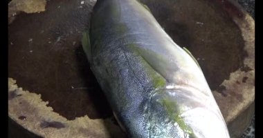 Kızarmış balık tabakta