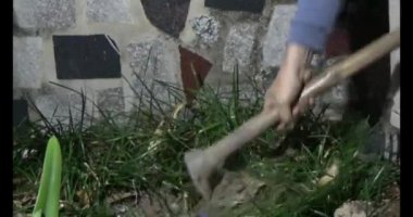 Adam bahçeye ağaç dikiyor.