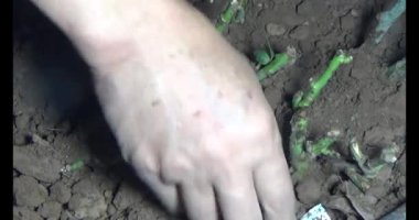 Adam bahçeye ağaç dikiyor.