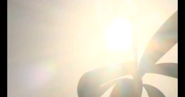 Güneşte dua ediyorum.