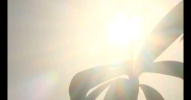 Güneşte dua ediyorum.