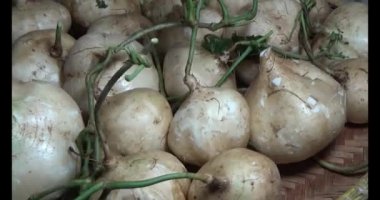 29 Kasım 2024, Haiduong, Vietnam. Bahçede ağaç kesen adam.