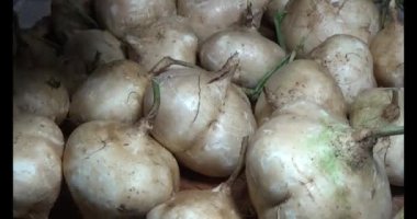 29 Kasım 2024, Haiduong, Vietnam. Bahçede ağaç kesen adam.