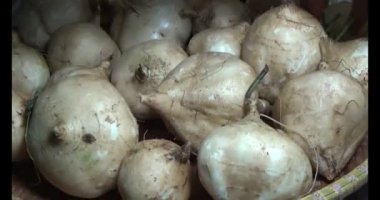 29 Kasım 2024, Haiduong, Vietnam. Bahçede ağaç kesen adam.