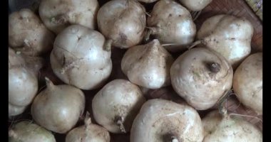 29 Kasım 2024, Haiduong, Vietnam. Bahçede ağaç kesen adam.