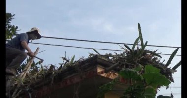 29 Kasım 2024, Haiduong, Vietnam. Bahçede ağaç kesen adam.