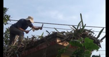 29 Kasım 2024, Haiduong, Vietnam. Bahçede ağaç kesen adam.