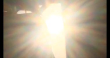 Yaprakların üzerindeki güneş ışığı