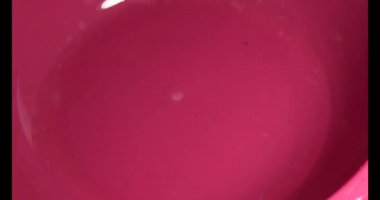 Midyeler ve salyangozlar