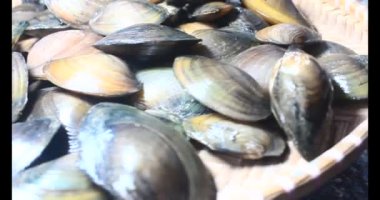 Midyeler ve salyangozlar