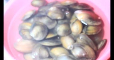 Midyeler ve salyangozlar