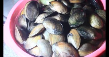 Midyeler ve salyangozlar