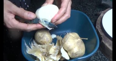 Ağustosböceğini parçalara ayır