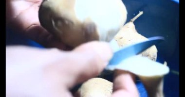 Ağustosböceğini parçalara ayır