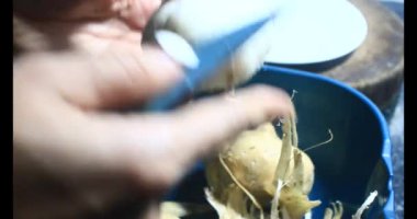 Ağustosböceğini parçalara ayır