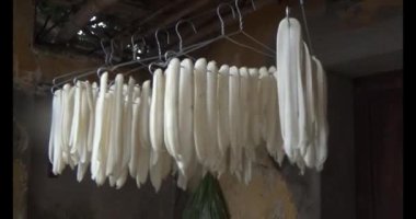 Turpu güneşte kurut.