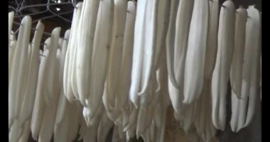 Turpu güneşte kurut.