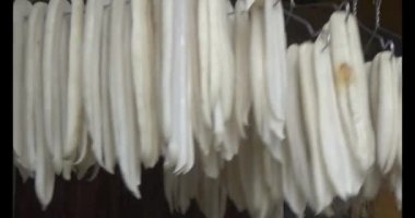 Turpu güneşte kurut.