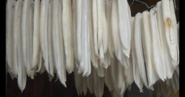 Turpu güneşte kurut.