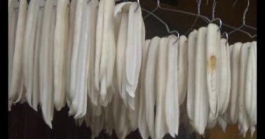 Turpu güneşte kurut.