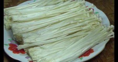 mantar sepeti üzerine